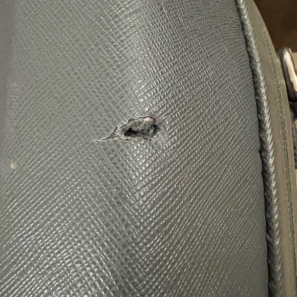 Young Living Essential Oils Carrying Case - Picture 8 of 10